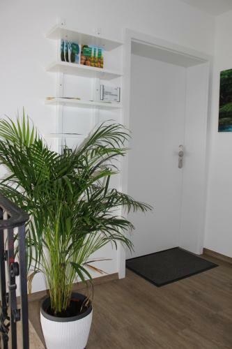 Apartamento Haus Gaui