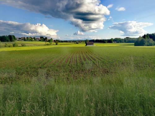 Apartamento Ferienhaus-schiemann