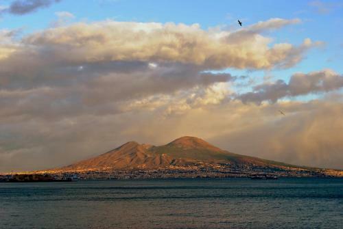 Smart Central Apartments San Gregorio