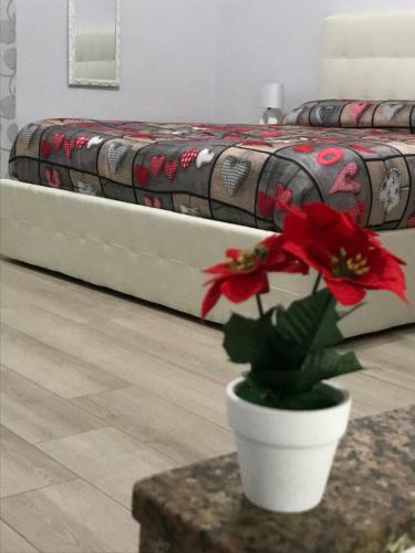 Apartamento La Dimora Di Venere