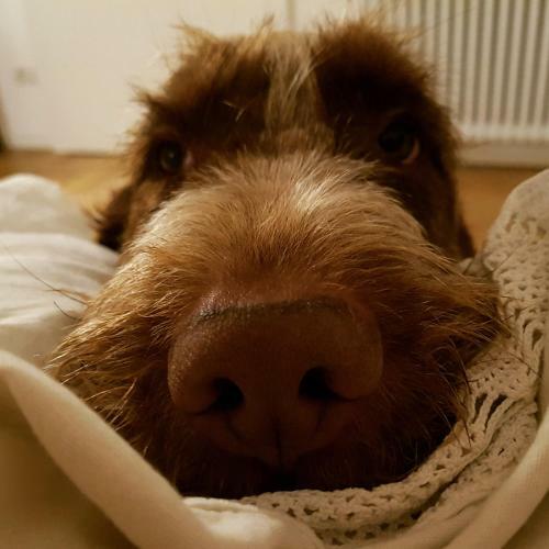 Bed & Breakfast Ovo - Slow Travel