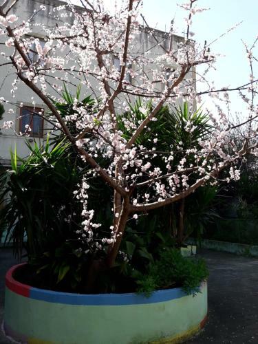 Bed & Breakfast Santa Maria Maddalena