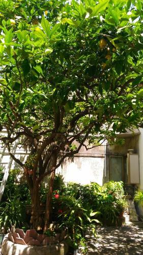 Bed & Breakfast Santa Maria Maddalena