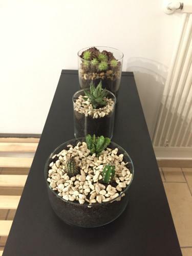 Apartamento Casa Maria Carmela