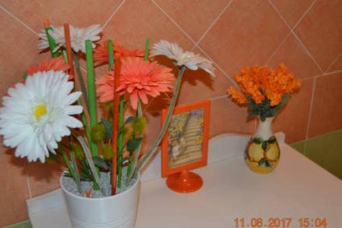 Apartamento La Regina Di Vertecoeli