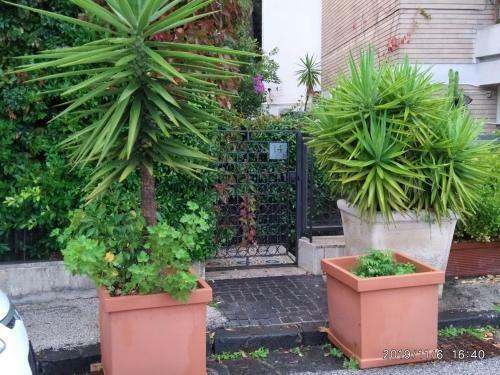 Apartamento Posillipo Super Mono