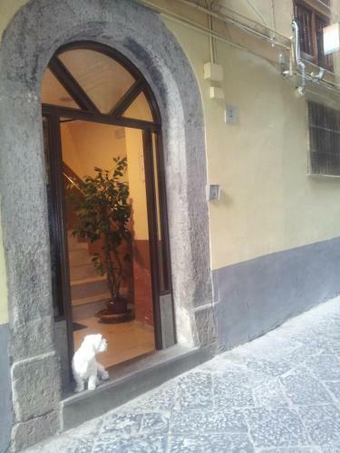 Hostal Dei Gerolomini