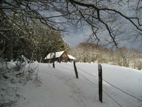 Hostal Pension Hampel