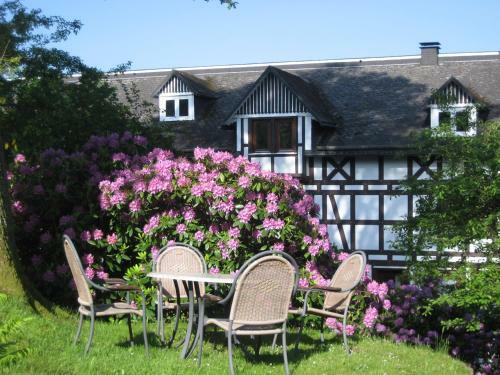 Hostal Pension Hampel