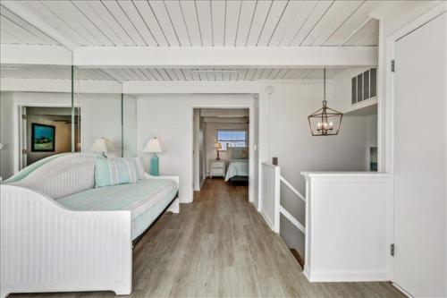 Ocean Colony 12