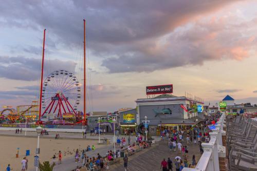 Ocean Beach A1