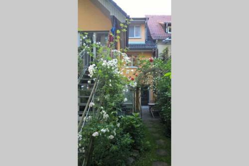 Apartamento Einliegerwohnung Mit Wintergarten (eg)