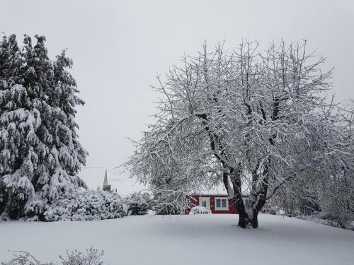 Ferienhaus L�h