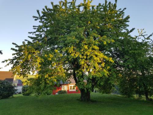 Ferienhaus L�h