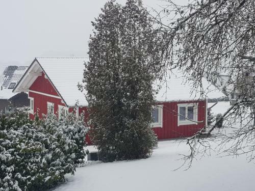 Ferienhaus L�h