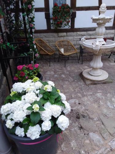 Apartamento Isas Ferienwohnung