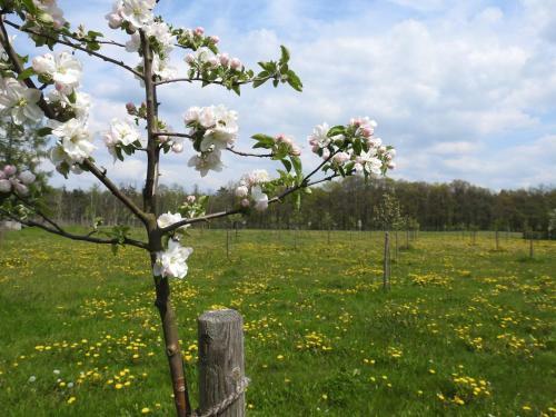 Apartamento Ferienhof Olbasee