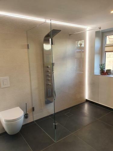 Apartamento Gute Laune Hof Klingenthal