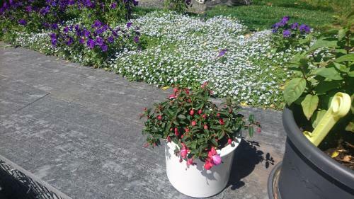 Apartamento Ferienwohnung Mit Garten Und Spielplatz