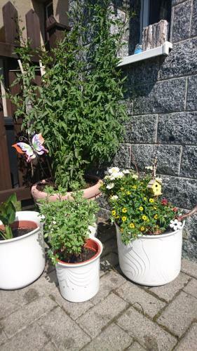 Apartamento Ferienwohnung Mit Garten Und Spielplatz