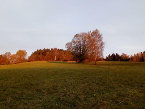 Apartamento Ferienwohnung K�rnerberg
