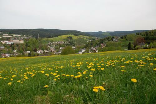 Apartamento Ferienwohnung K�rnerberg