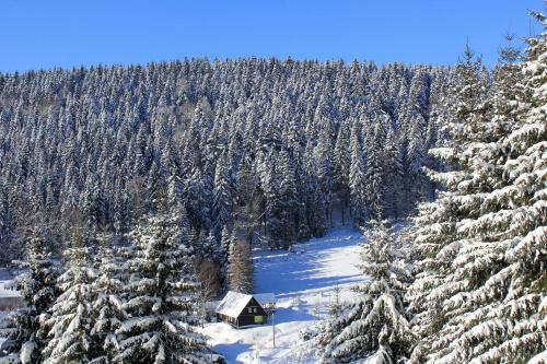 Apartamento Fw. Aschbergblick Anno Dazumal