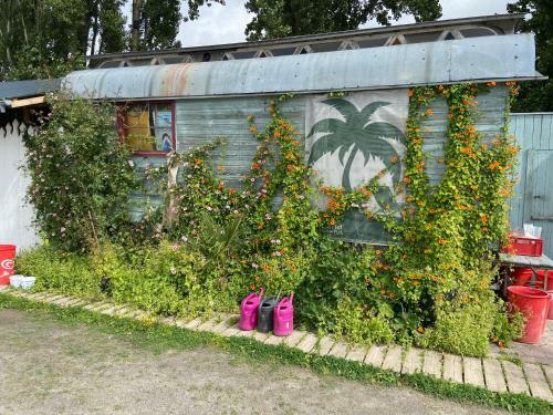 Moselchalet Koblenz 37
