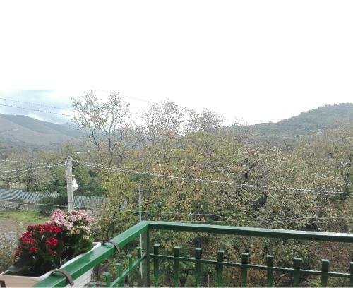 Bed & Breakfast Villa Enza