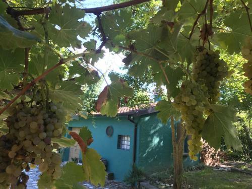 Casina Morgana B&B