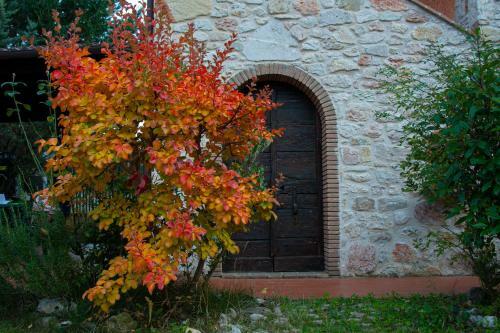 Antico Borghetto - Casa Vacanze