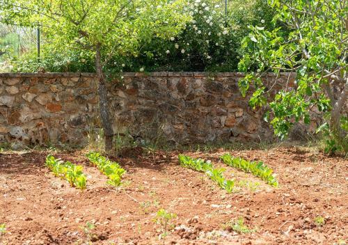 Apartamento I Trulli Di Eva