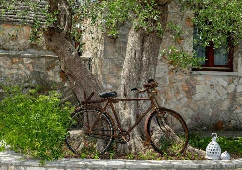 Apartamento I Trulli Di Eva