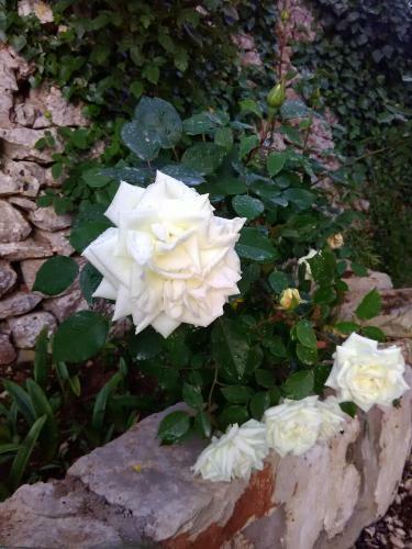 Apartamento Trulli Sarmenzanello