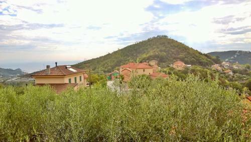 B&B Elfo Degli Ulivi