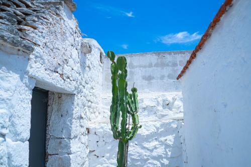 Agroturismo Masseria Donna Coletta