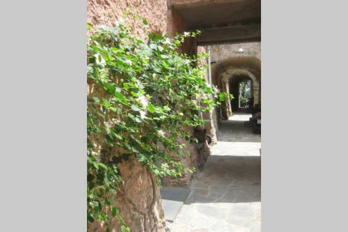 La Casa Di Sandra A Noli