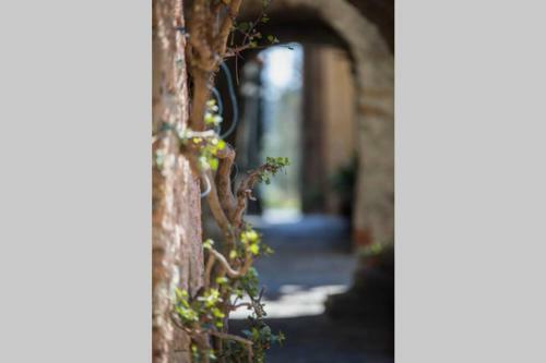 La Casa Di Sandra A Noli