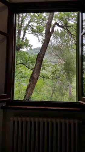 Bed & Breakfast Bella Luminella
