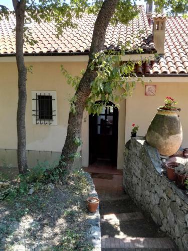 Bed & Breakfast Bella Luminella