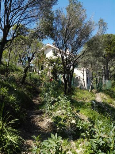 Bed & Breakfast Bella Luminella