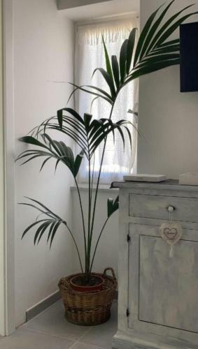 Apartamento Ca' Du Marchin, Noli.