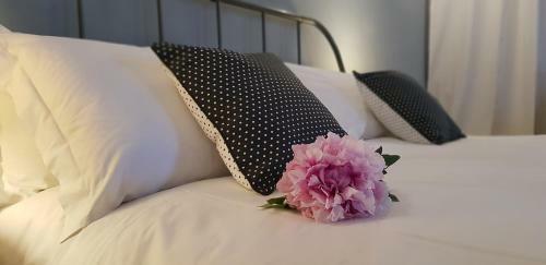 Chalet Nelle Vigne