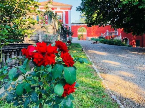 Hostal Charme Of Villa Capannina