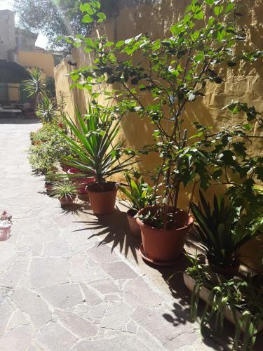 Apartamento Casa Pan Di Sole