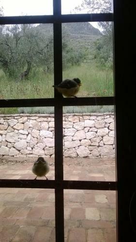 Hostal Al Casolare