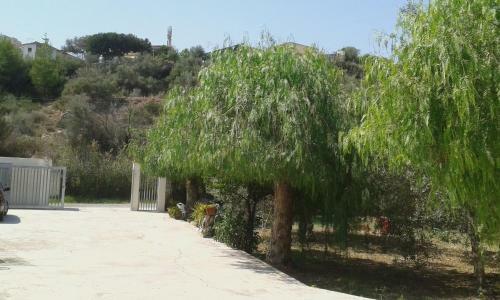 Profumo Di Mare Fronte Spiaggia