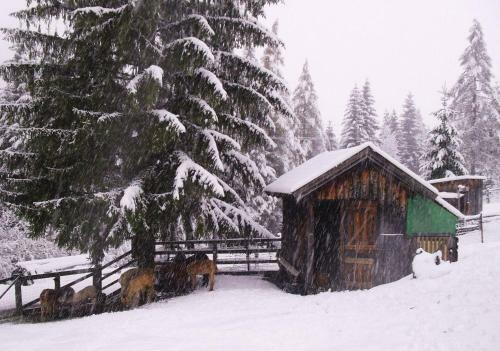Hostal G�stehaus Panorama