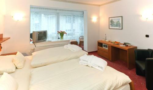 Kur- Und Kneipphotel Zum Goldenen Hirsch