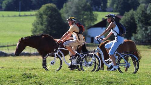 Kur- Und Kneipphotel Zum Goldenen Hirsch